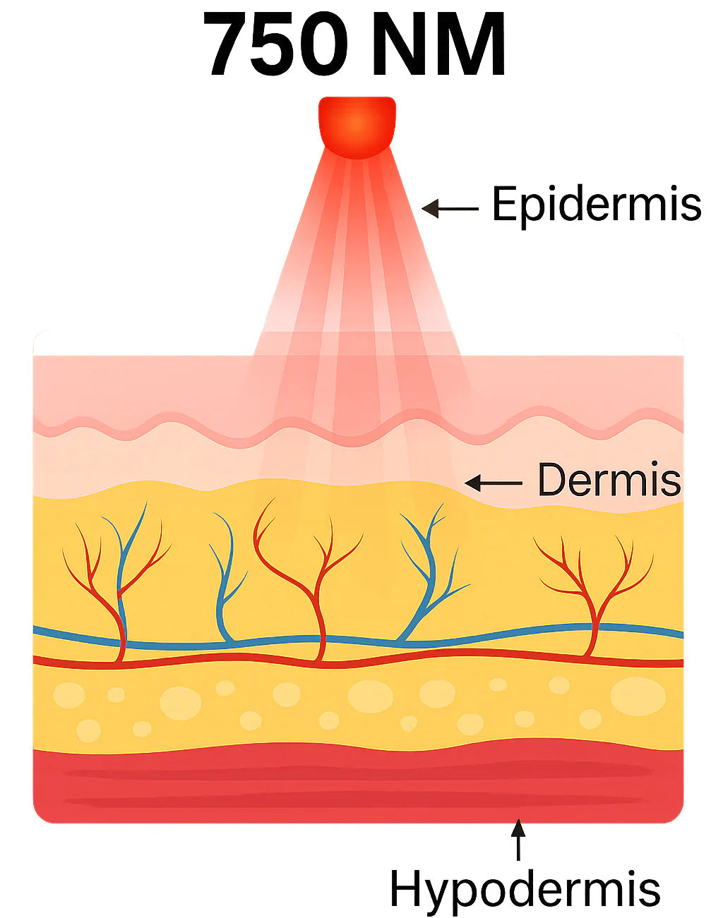 3-in-1 heated lumbar belt - relieve and recover your back from pain