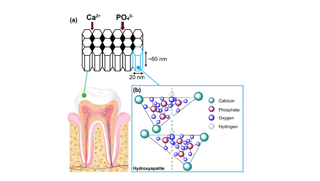 Whitening & enamel strengthening repair powder